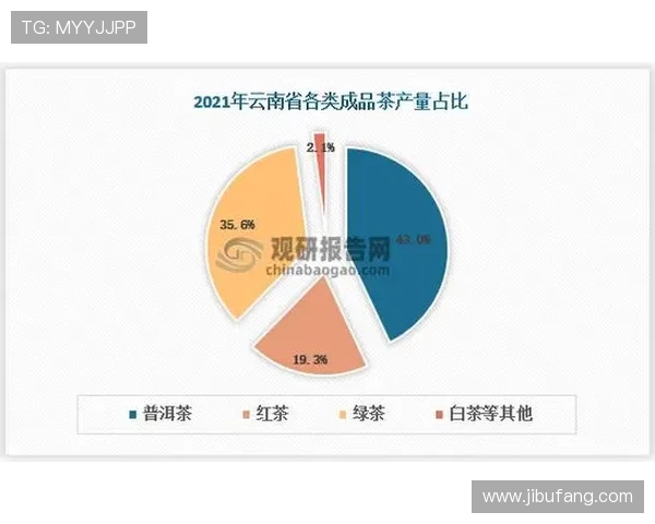 倪永康的政治生涯与影响力分析及其对中国政坛的深远影响 倪永康的政治生涯与影响力分析及其对中国政坛的深远影响