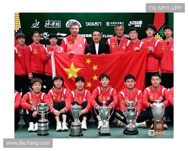 成都乒乓球队团队协作能力显著提升创新高排名引发广泛关注